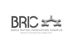 logo-bric