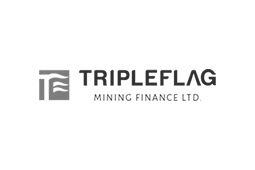 logo-tripleflag