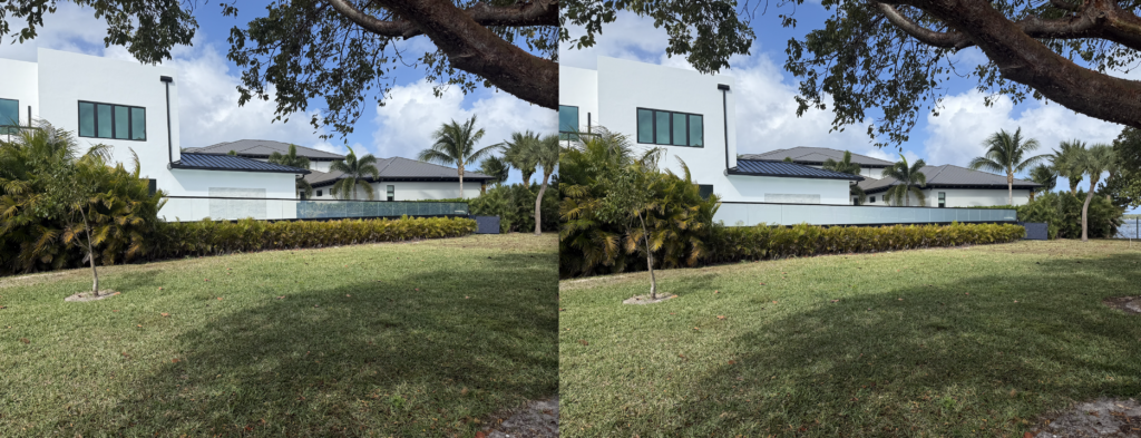 North Palm Railing 1